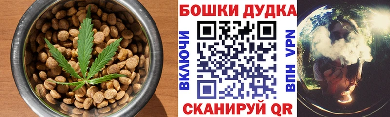 Купить закладки  Вытегра  Cannafood марихуана 